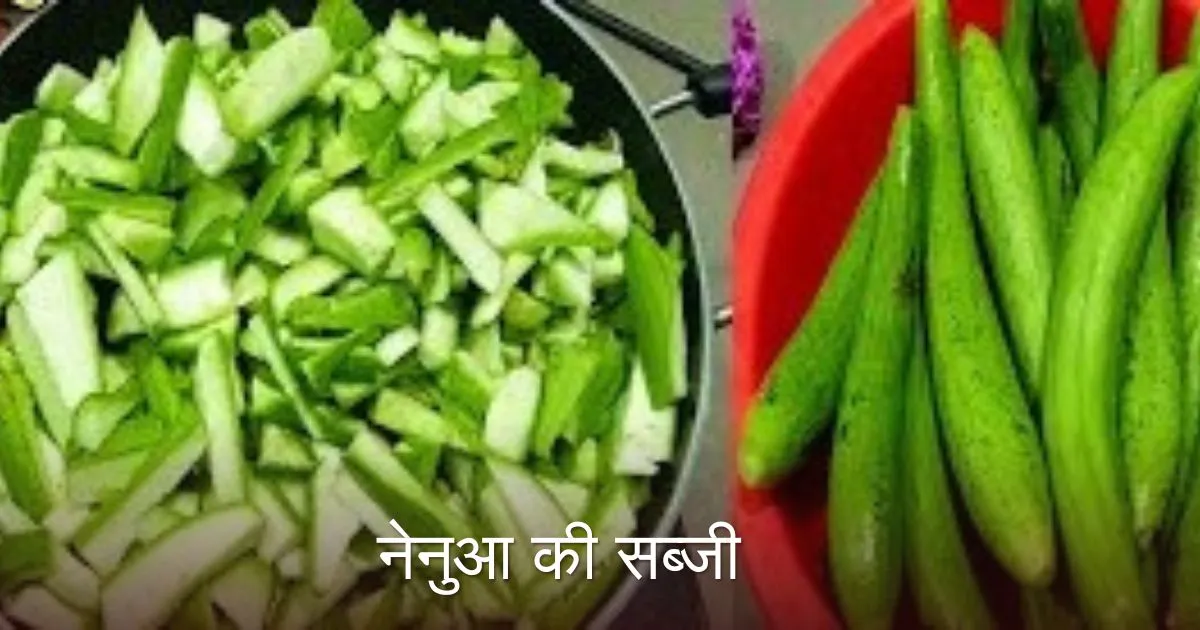 Nenua Ki Sabji Recipe in Hindi